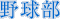 싅